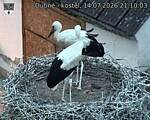 Capi_Dubne_20260714_211003.jpg