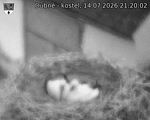 Capi_Dubne_20260714_212002.jpg