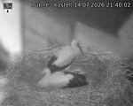 Capi_Dubne_20260714_214002.jpg