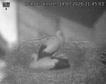 Capi_Dubne_20260714_214503.jpg
