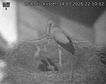 Capi_Dubne_20260714_221002.jpg