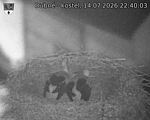 Capi_Dubne_20260714_224003.jpg