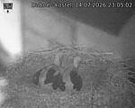 Capi_Dubne_20260714_230502.jpg