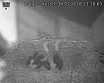 Capi_Dubne_20260714_233003.jpg