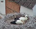 Capi_Dubne_20260715_060003.jpg