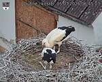 Capi_Dubne_20260715_064503.jpg