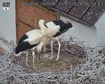 Capi_Dubne_20260715_065003.jpg