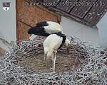 Capi_Dubne_20260715_065505.jpg