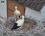 Capi_Dubne_20260715_070003.jpg