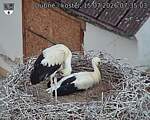 Capi_Dubne_20260715_073503.jpg
