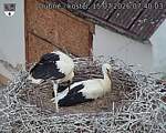 Capi_Dubne_20260715_074003.jpg