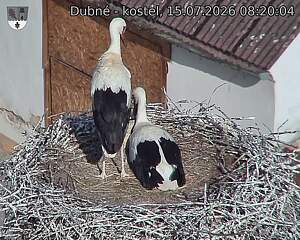 Capi_Dubne_20260715_082005.jpg (1350&nbsp;x&nbsp;1080)