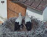 Capi_Dubne_20260715_104003.jpg