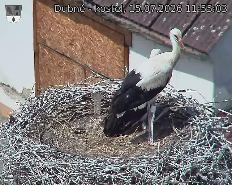 preload