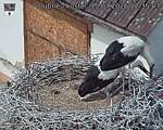 Capi_Dubne_20260715_123503.jpg