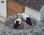Capi_Dubne_20260715_130002.jpg