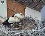 Capi_Dubne_20260715_130504.jpg