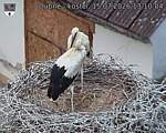 Capi_Dubne_20260715_131004.jpg