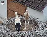 Capi_Dubne_20260715_135505.jpg
