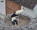 Capi_Dubne_20260715_140003.jpg