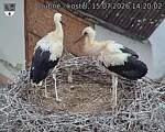 Capi_Dubne_20260715_142002.jpg