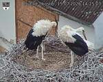 Capi_Dubne_20260715_142504.jpg