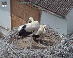 Capi_Dubne_20260715_145502.jpg