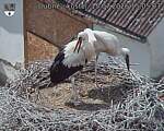 Capi_Dubne_20260715_150503.jpg