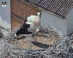 Capi_Dubne_20260715_152003.jpg