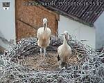 Capi_Dubne_20260715_165502.jpg