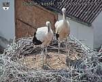 Capi_Dubne_20260715_170002.jpg