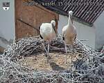 Capi_Dubne_20260715_170504.jpg