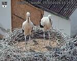 Capi_Dubne_20260715_172503.jpg