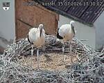Capi_Dubne_20260715_173002.jpg