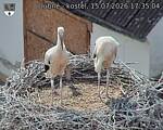 Capi_Dubne_20260715_173504.jpg