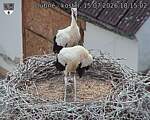 Capi_Dubne_20260715_181502.jpg