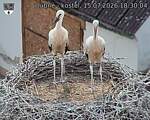 Capi_Dubne_20260715_183004.jpg