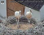 Capi_Dubne_20260715_183504.jpg