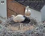 Capi_Dubne_20260715_185502.jpg