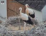 Capi_Dubne_20260715_190002.jpg