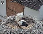 Capi_Dubne_20260715_191504.jpg