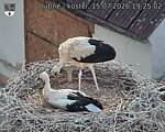Capi_Dubne_20260715_192502.jpg