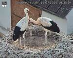 Capi_Dubne_20260715_193504.jpg