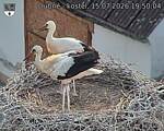 Capi_Dubne_20260715_195004.jpg