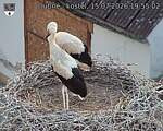 Capi_Dubne_20260715_195503.jpg