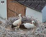 Capi_Dubne_20260715_200504.jpg