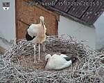 Capi_Dubne_20260715_202503.jpg