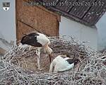 Capi_Dubne_20260715_203002.jpg