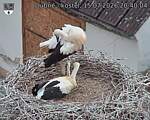 Capi_Dubne_20260715_204004.jpg