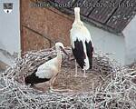 Capi_Dubne_20260715_211004.jpg